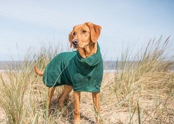 Hondendroogjas groen van het merk Ruff and Tumble voor natte hond